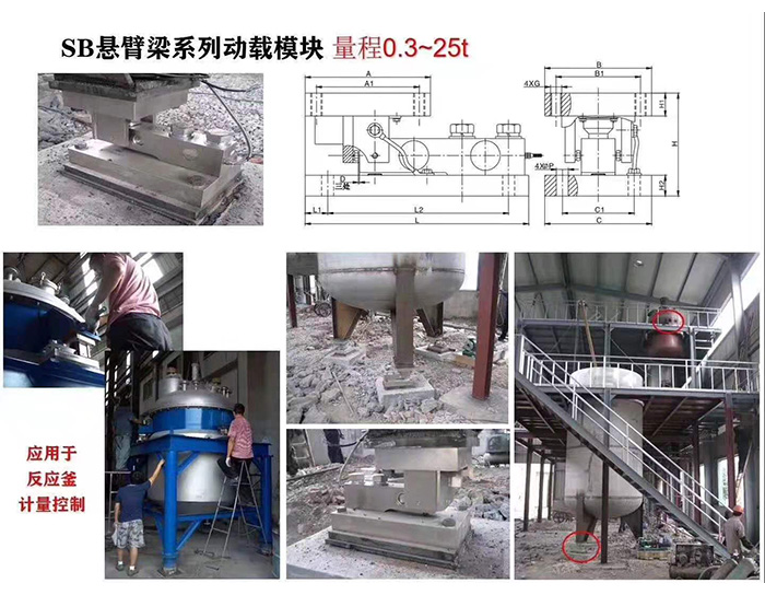 SB懸臂梁系列動(dòng)載模塊（量程0.3~25t）